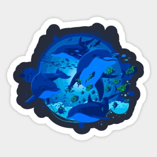 Dolphins Sticker